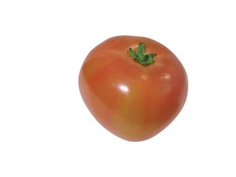 Tomato Stock Photos