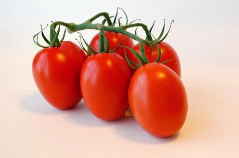 Tomato Stock Photos