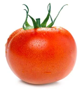 Tomato Stock Photos