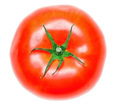 Tomato Stock Photos