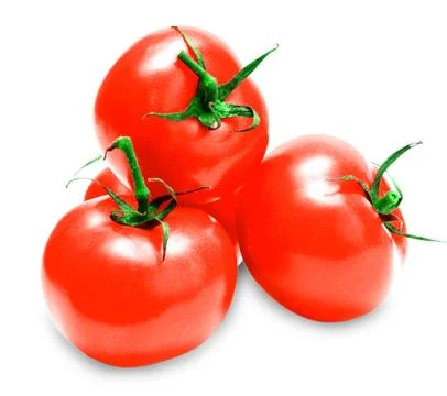 Tomato Stock Photos