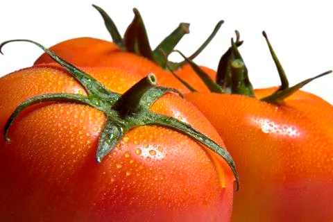 Tomato Stock Photos
