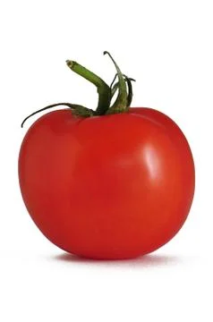 Tomato Stock Photos