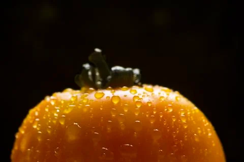 Tomato Foto stock
