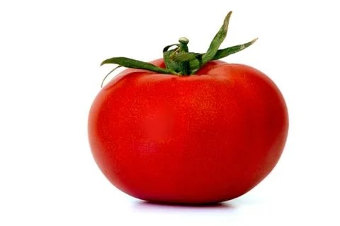 Tomato Stock Photos