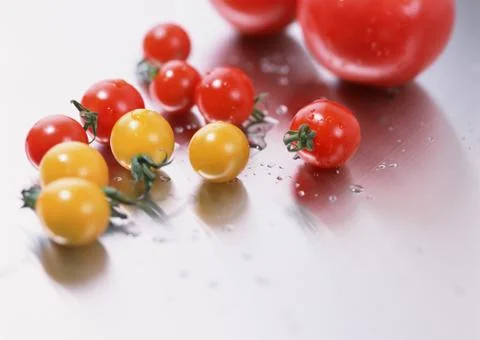 Tomato Stock Photos