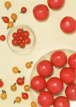 Tomato Stock Photos