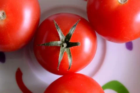 Tomato 库存照片