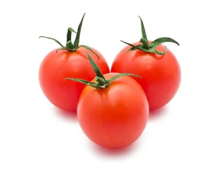 Tomato Stock Photos