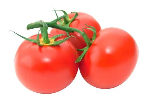 Tomato Stock Photos
