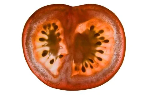 Tomato Stock Photos