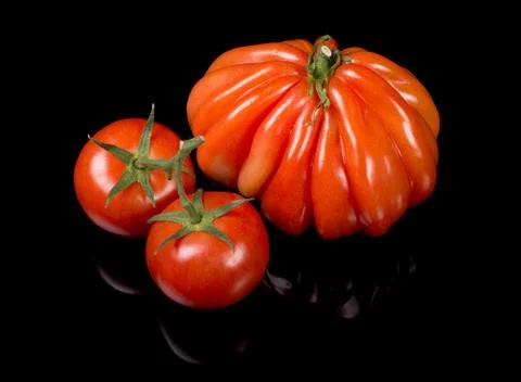 Tomato 写真素材