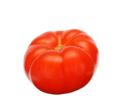 Tomato Stock Photos