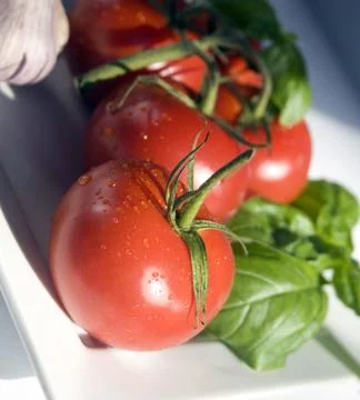 Tomato Stock Photos