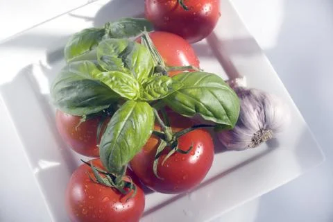 Tomato Stock-Fotos