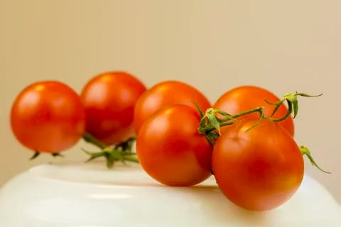 Tomato Stock Photos