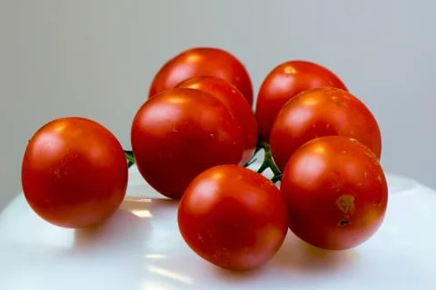 Tomato Stock Photos