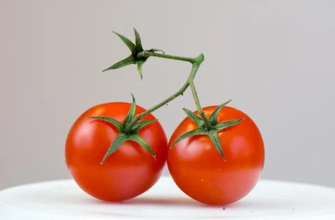 Tomato Stock Photos