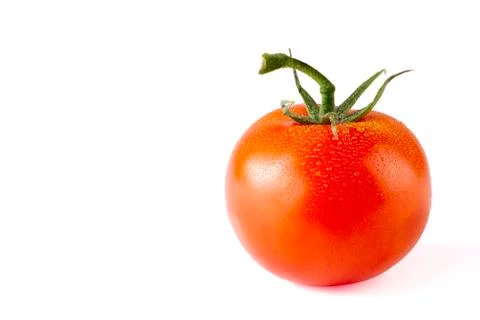 Tomato Stock Photos