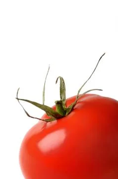 Tomato Stock Photos