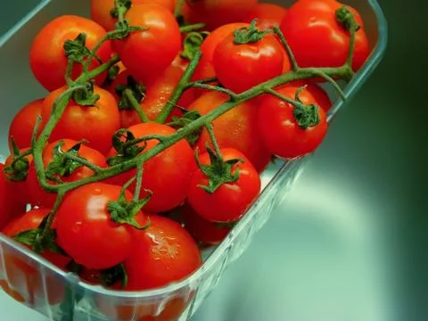 Tomato Stock Photos
