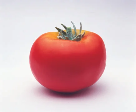 Tomato Stock Photos