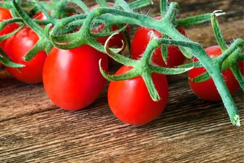 Tomato Stock Photos