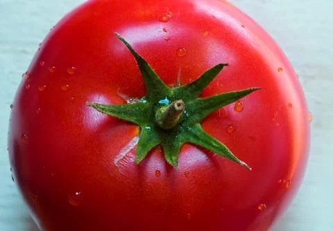 Tomato Stock Photos