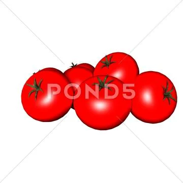 Tomato Stock Photos