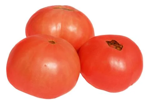 Tomato Stock Photos