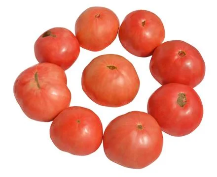 Tomato Stock Photos