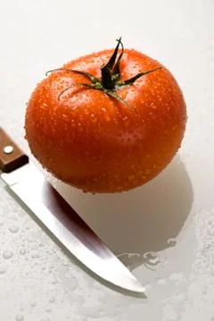 Tomato Stock Photos