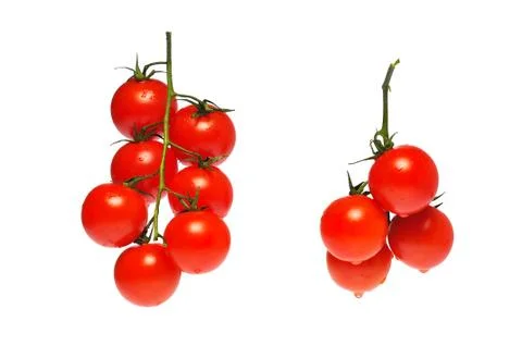 Tomato Stock Photos