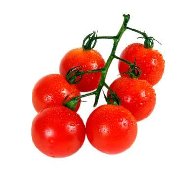 Tomato Stock Photos
