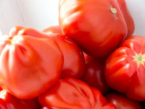 Tomato. 스톡 사진