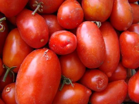 Tomato Stock Photos
