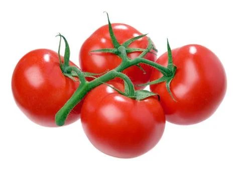 Tomato. Stock Photos