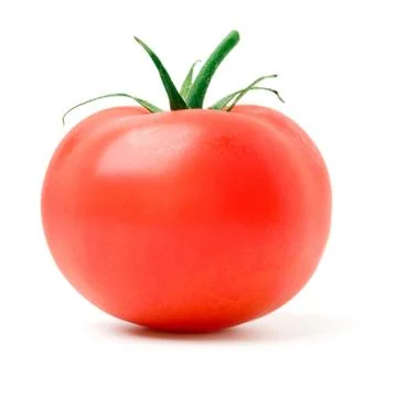 Tomato. Stock Photos