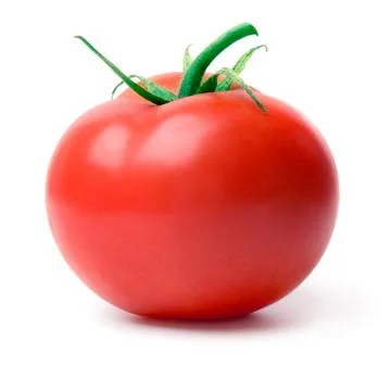 Tomato. Stock Photos