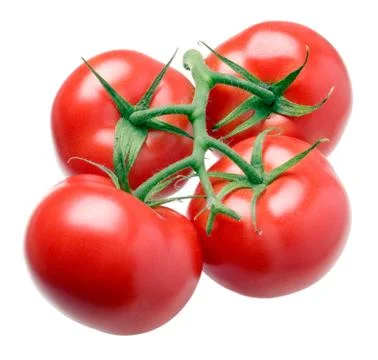 Tomato. Stock Photos