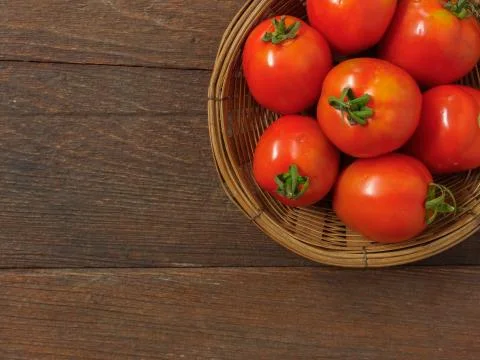 Tomato Stock Photos