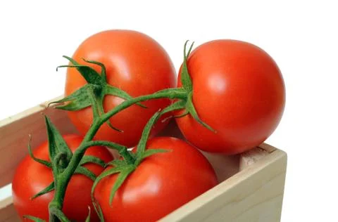 Tomato Stock Photos