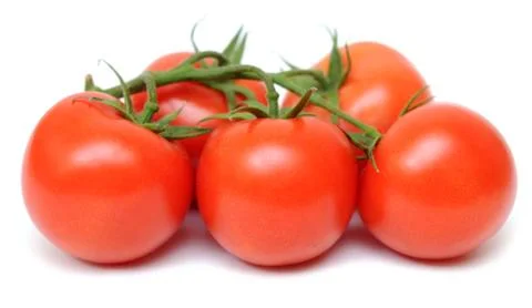 Tomato Stock Photos