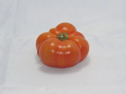 Tomato Stock Photos