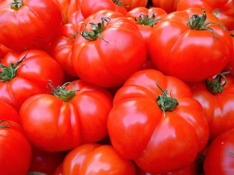 A tomato. Stock Photos