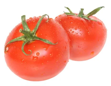 Tomato Stock Photos