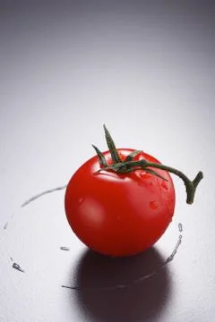 Tomato Stock Photos