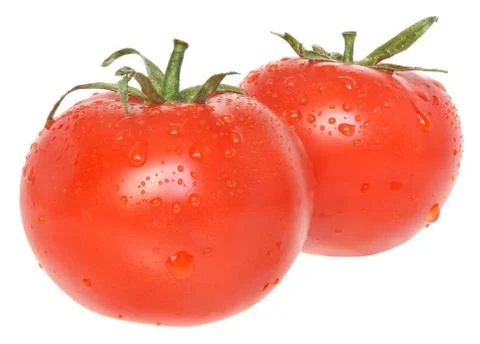Tomato Stock Photos
