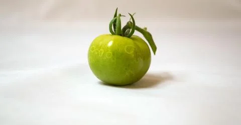 Tomato Stock Photos