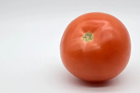 Tomato Stock Photos